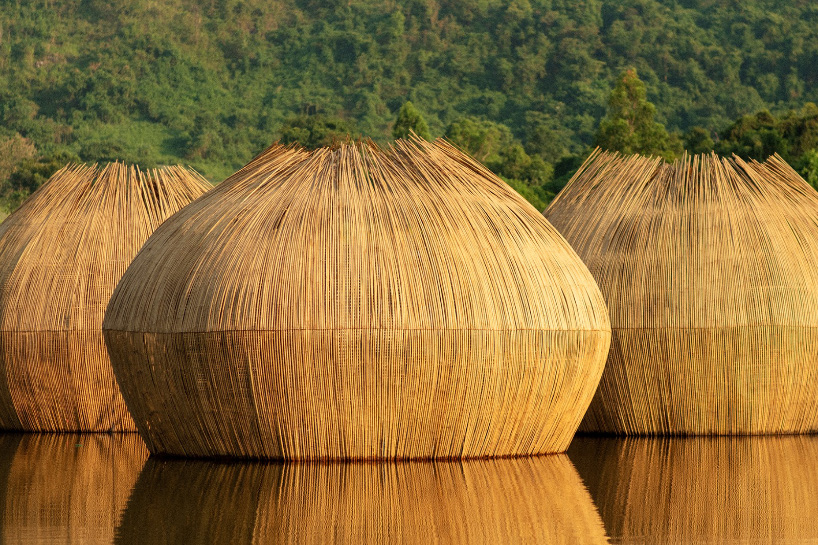 ab rogers wonderfruit festival