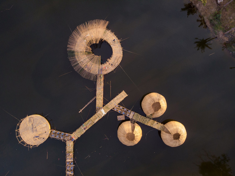 ab rogers wonderfruit festival