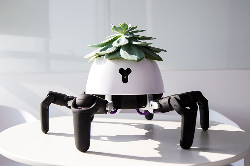 designboom TECH predictions 2019: smart farms, digital food and robot bees