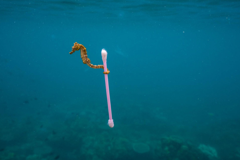 designboom TECH predictions 2019: let's stop plastic pollution