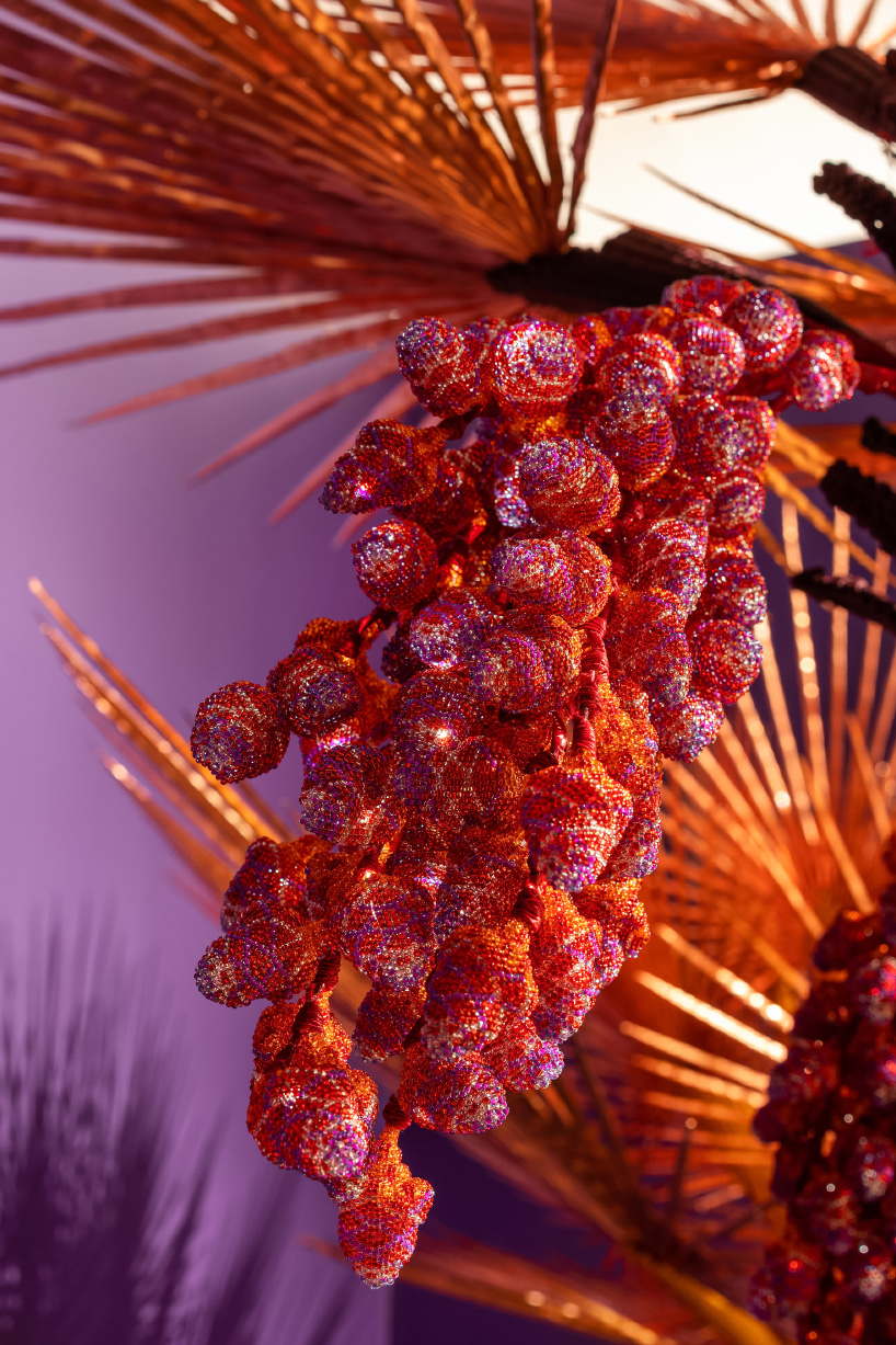 haas brothers bass museum