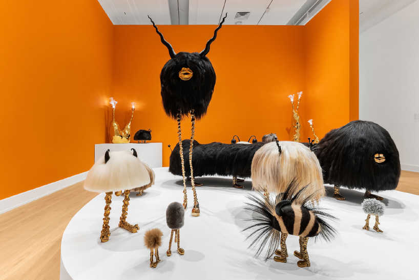 haas brothers bass museum