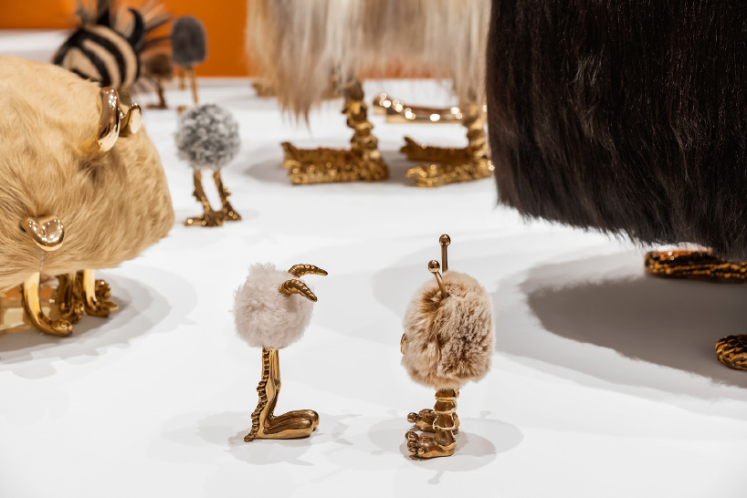 haas brothers bass museum