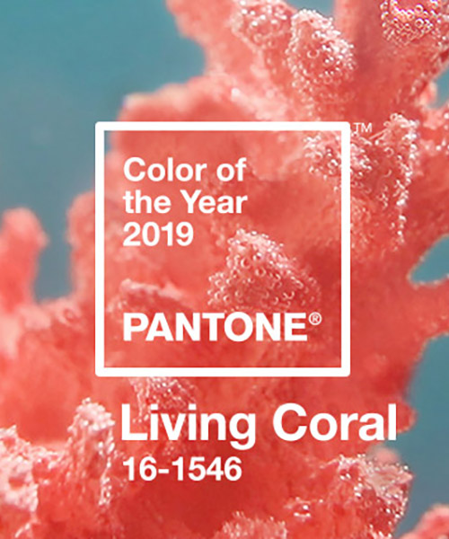 Image result for pantone color of the year 2019