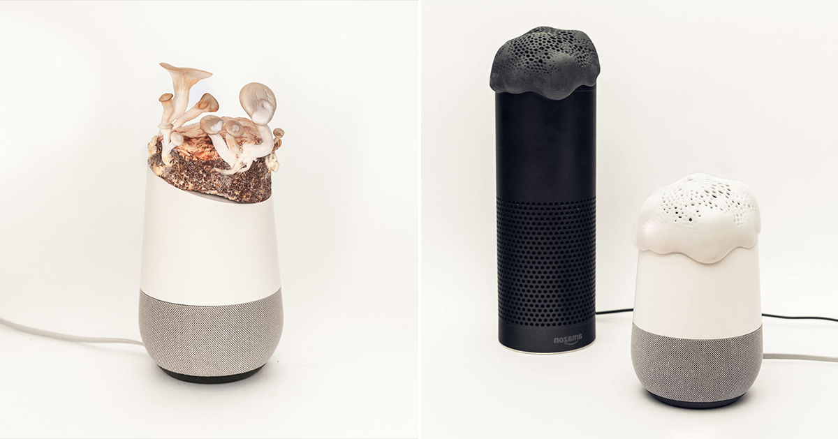 project alias google home mini