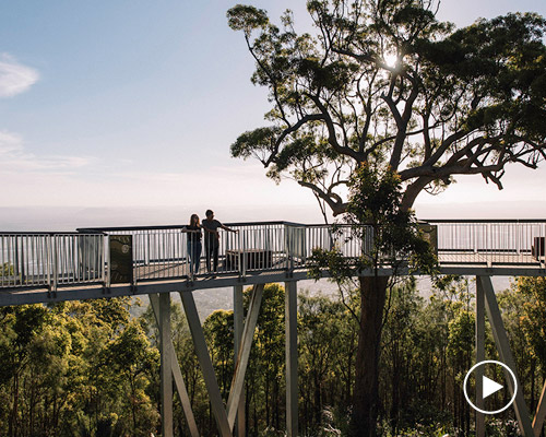 architects install prefabricated observation boardwalk on mount archer, australia