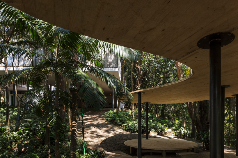 sol camacho casa de vidro