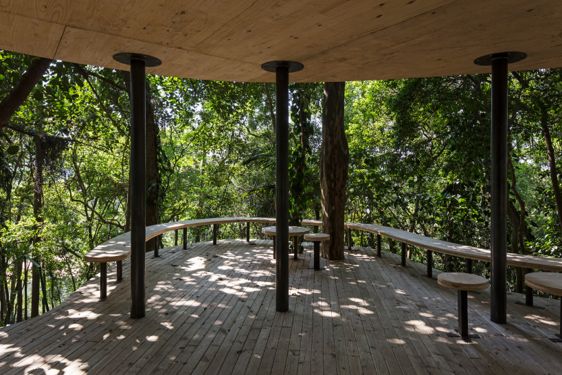 sol camacho casa de vidro