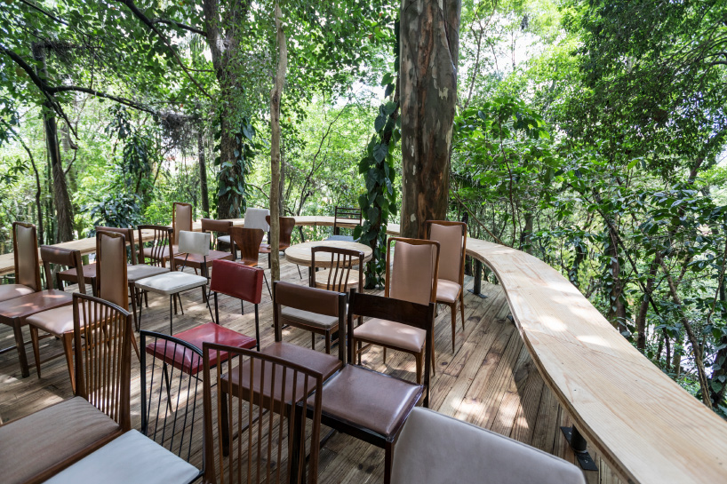 sol camacho casa de vidro