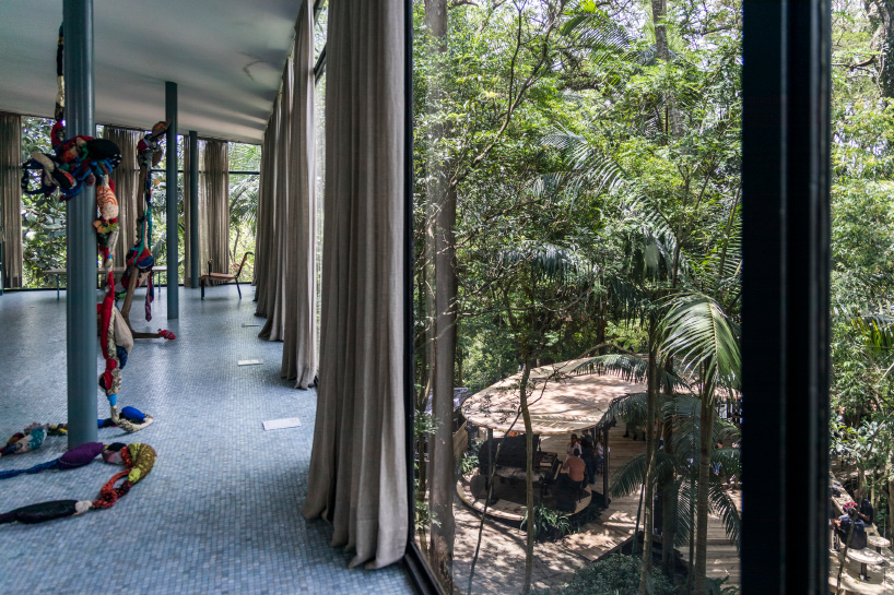 sol camacho casa de vidro