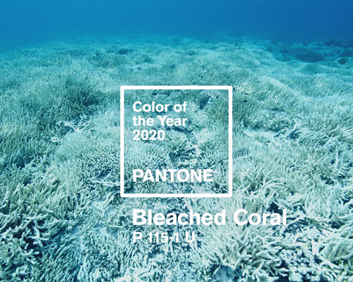 jack + huei suggests pantone to help raise awareness of dying coral in 2020