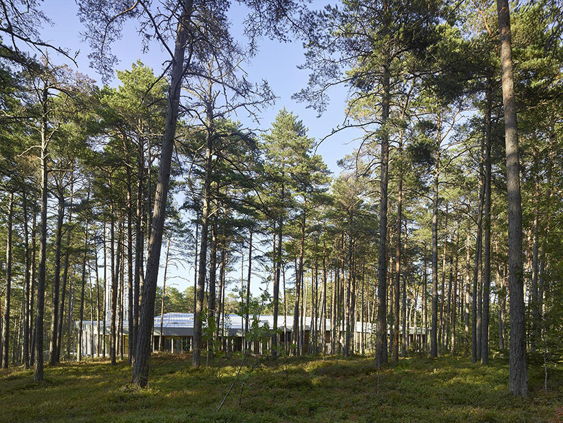 nieto sobejano nestles arvo pärt centre in a dense estonian forest of pine trees designboom