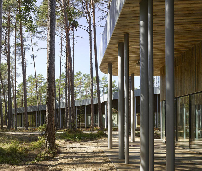 nieto sobejano nestles arvo pärt centre in a dense estonian forest of pine trees designboom