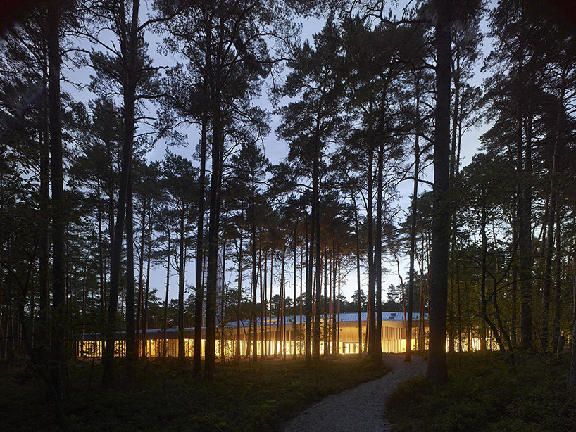 nieto sobejano nestles arvo pärt centre in a dense estonian forest of pine trees designboom
