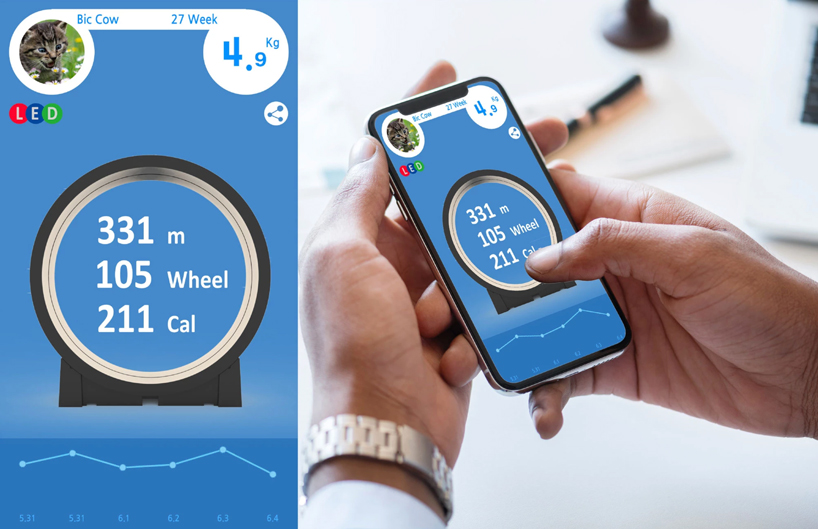 app-controlled cat treadmill promises to help fat felines lose their holiday weight
