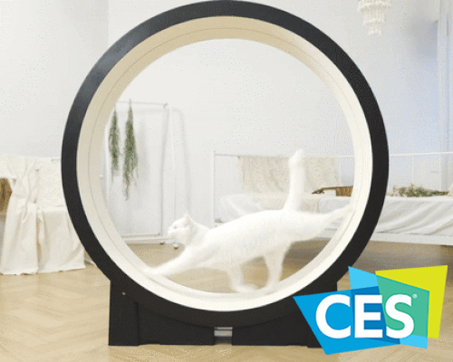 app-controlled cat treadmill promises to help fat felines lose their holiday weight