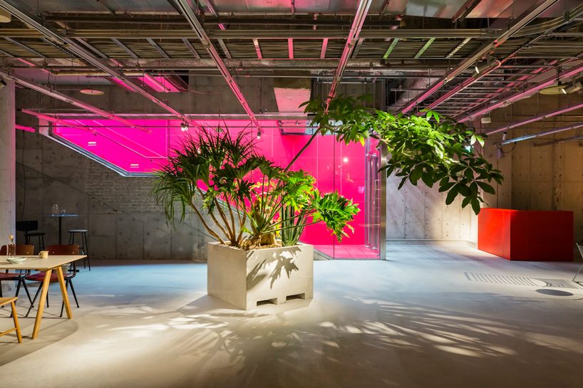 schemata puts up movable furniture systems for HAY's temporary store in tokyo