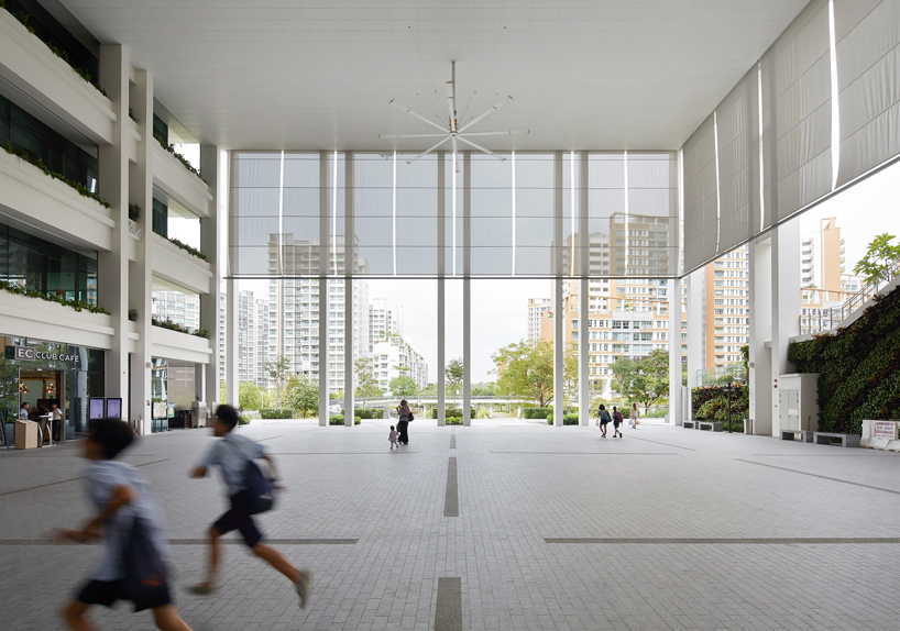 serie oasis terraces