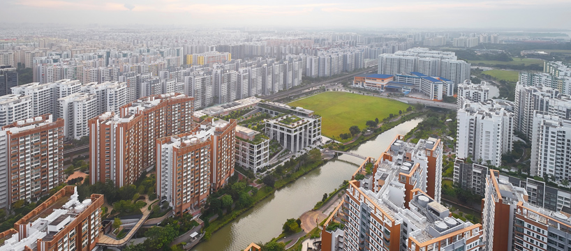 serie oasis terraces