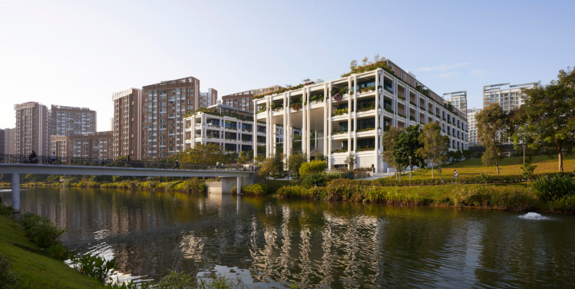 serie oasis terraces