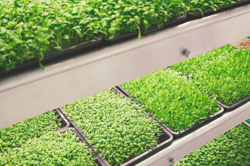 space10 copenhagen headquarters