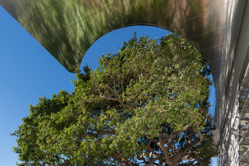 foster norton museum