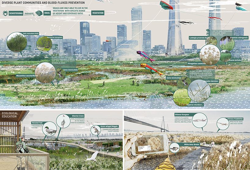 sasaki embraces local river culture to transform yangtze waterfront in china