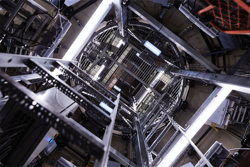 studio swine infinity blue