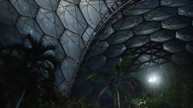 studio swine infinity blue