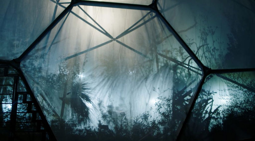 studio swine infinity blue