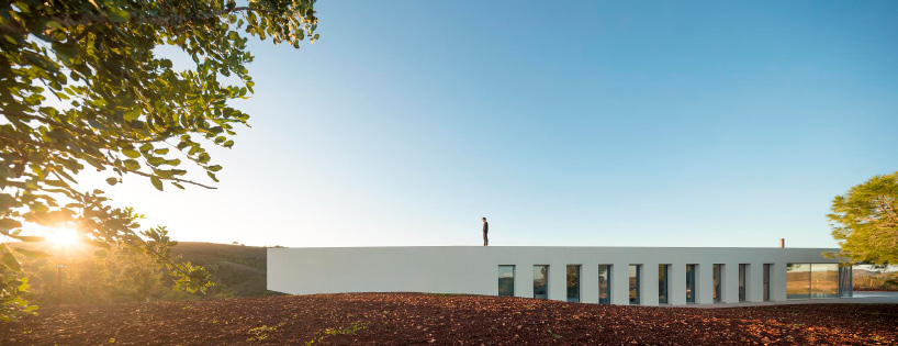 vitor vilhena messines