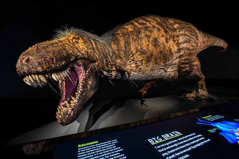 t-rex virtual reality