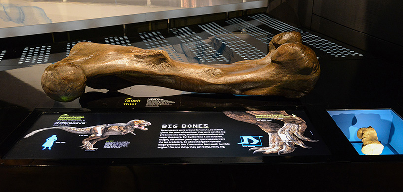 t-rex virtual reality