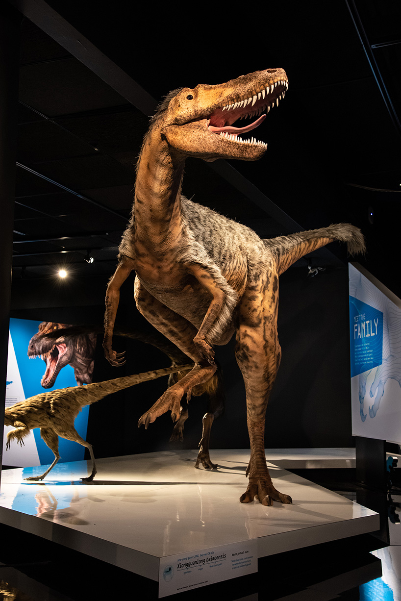 t-rex virtual reality
