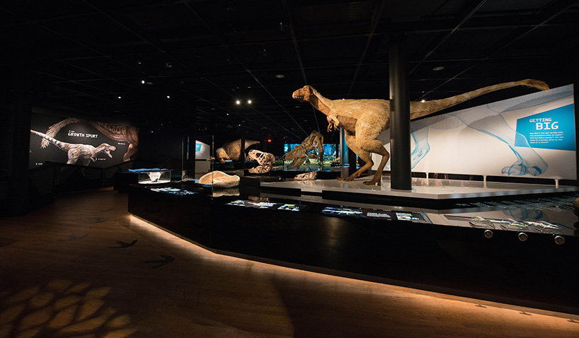 t-rex virtual reality