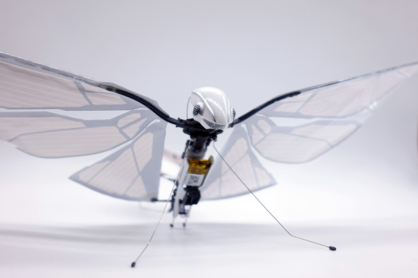 bold Afsnit Slumber the metafly robotic insect uses biomimetics to mimic the real thing