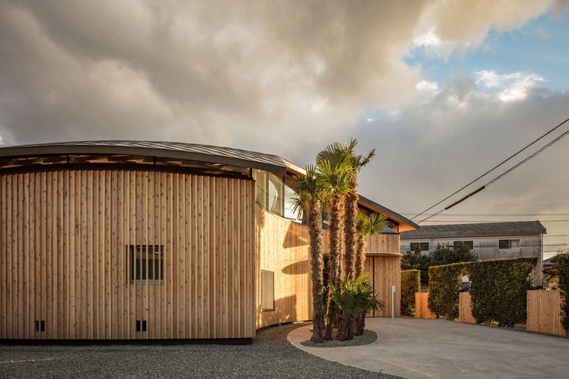 curved wood lattice roof hangs above nasca's blue sky nursery school in japan - 3