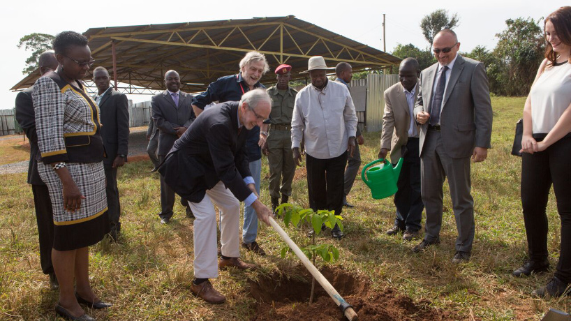 renzo piano uganda hospital