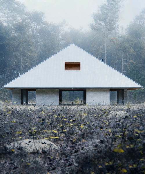 WOJR designs symmetrical 'house of the woodland' with striking pyramid roof