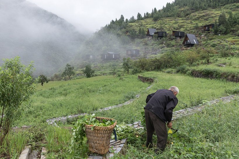 ZJJZ builds charred timber volumes on a hillside in rural china for 'woodhouse hotel' designboom