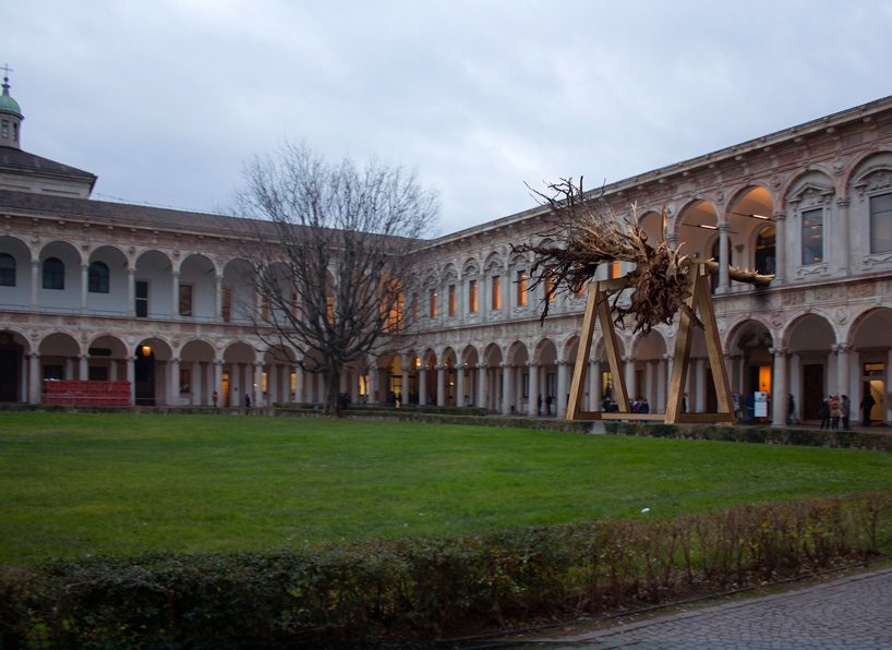 piuarch pays tribute to stradivari's lost forest with installation at the university of milan
