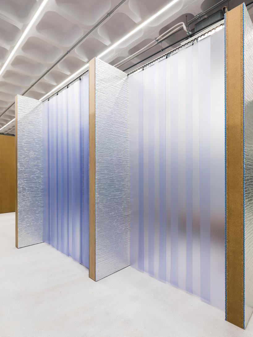 gonzalez haase AAS TEM-PLATE