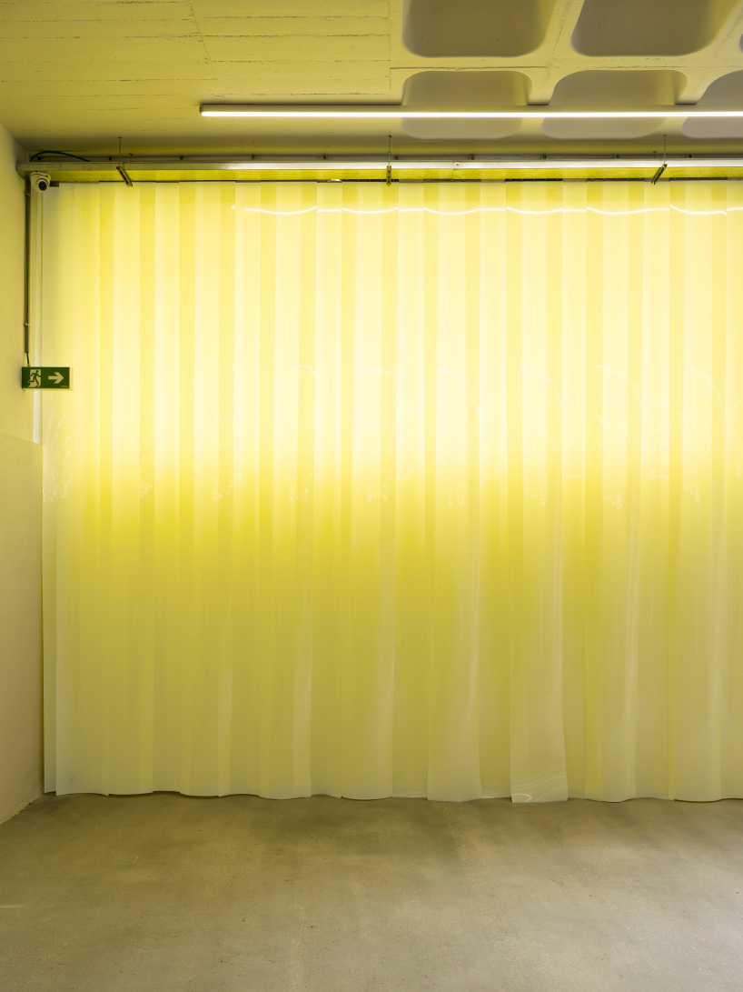 gonzalez haase AAS TEM-PLATE