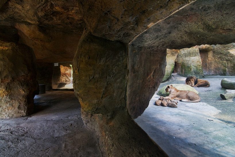 natascha meuser examines zoo buildings in DOM's latest construction and design manual designboom