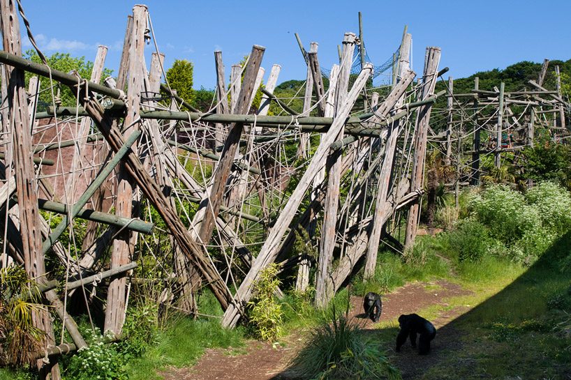 natascha meuser examines zoo buildings in DOM's latest construction and design manual designboom