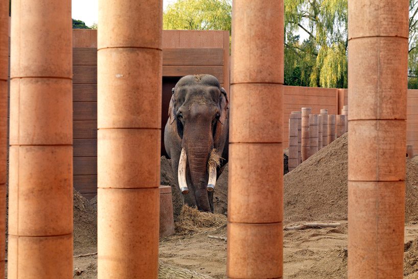natascha meuser examines zoo buildings in DOM's latest construction and design manual designboom