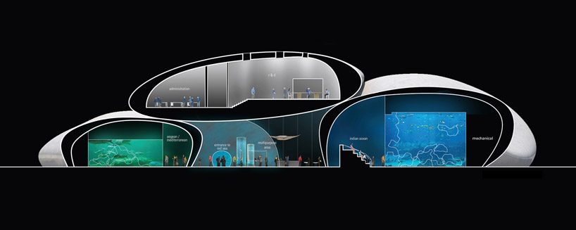 natascha meuser examines zoo buildings in DOM's latest construction and design manual designboom