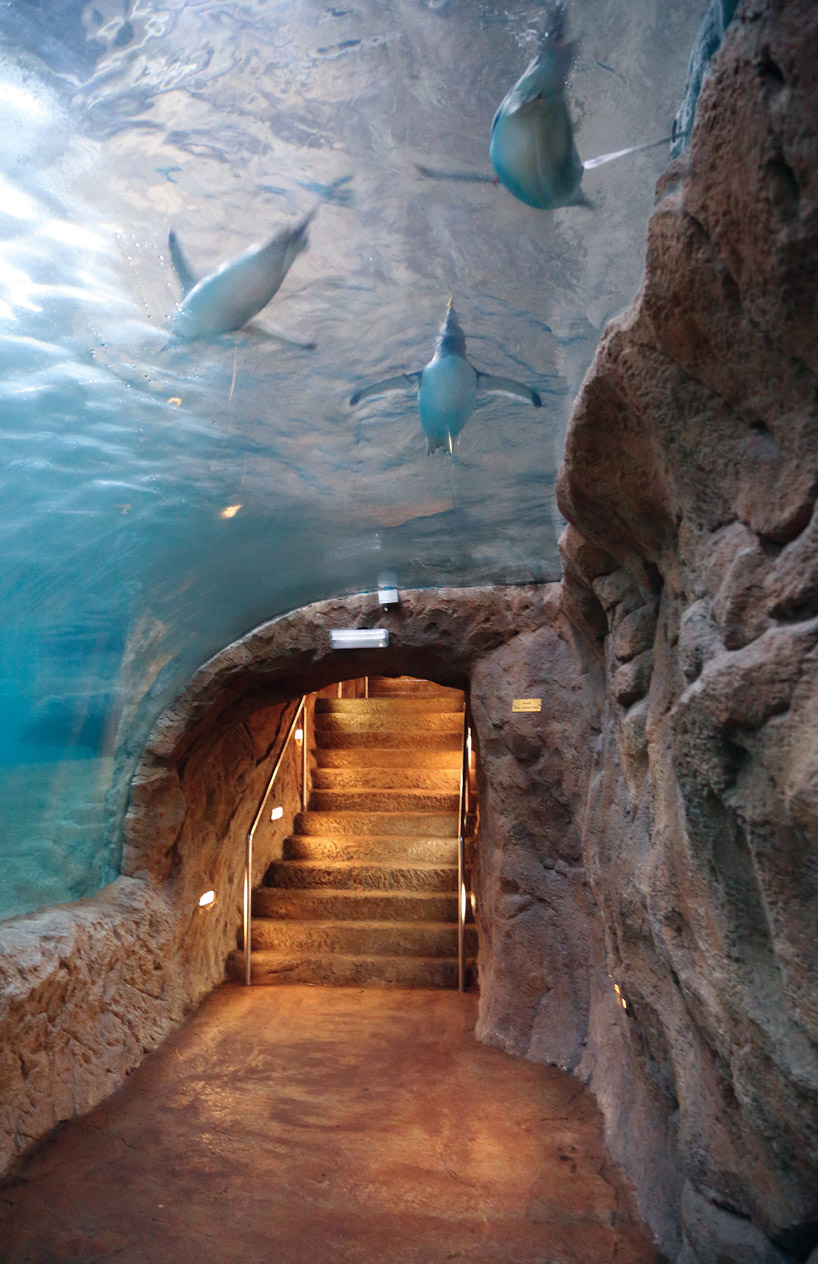 natascha meuser examines zoo buildings in DOM's latest construction and design manual designboom