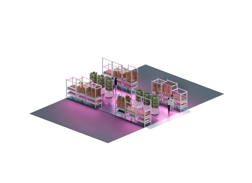 tom dixon + IKEA's experimental garden for urban farming opens during chelsea flower show