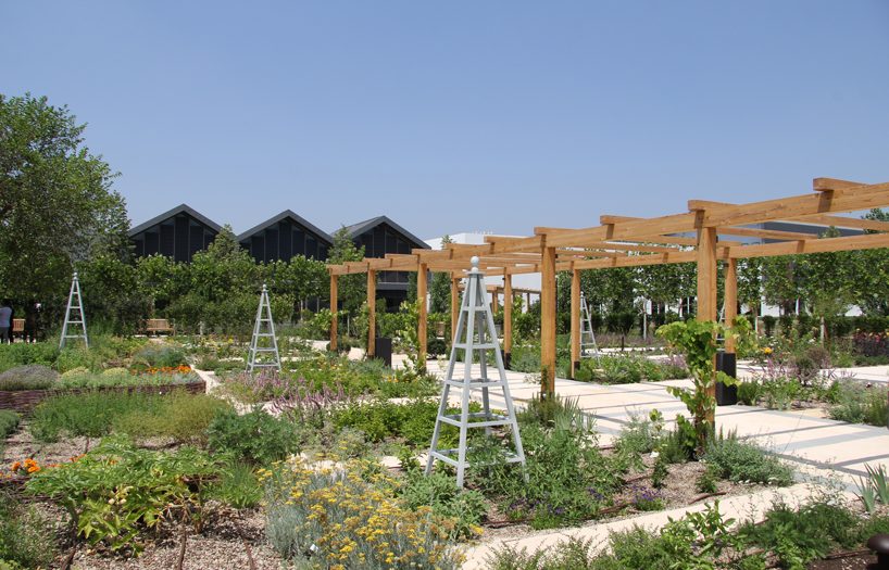 davines unveils scientific garden designed by tommaso del buono for research and wellbeing designboom